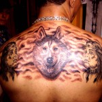 loup et indiennes haut de dos