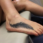 plume pied